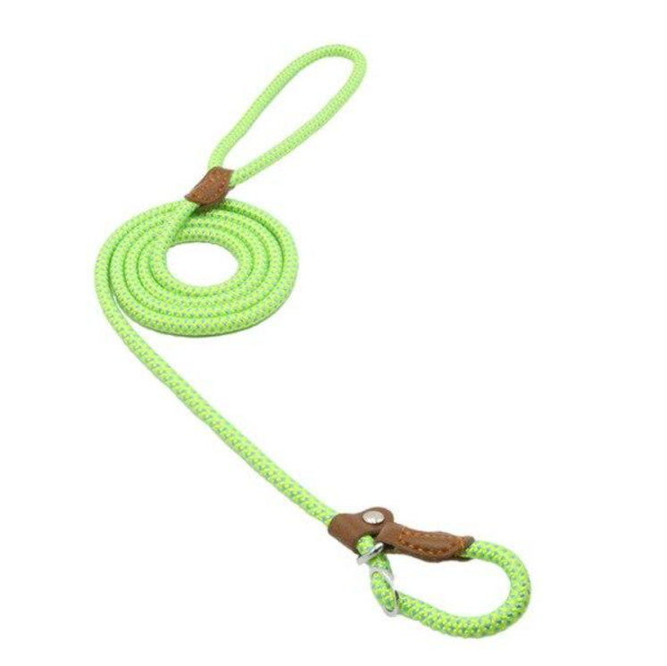 Nylon Pup Set Creole-boutique