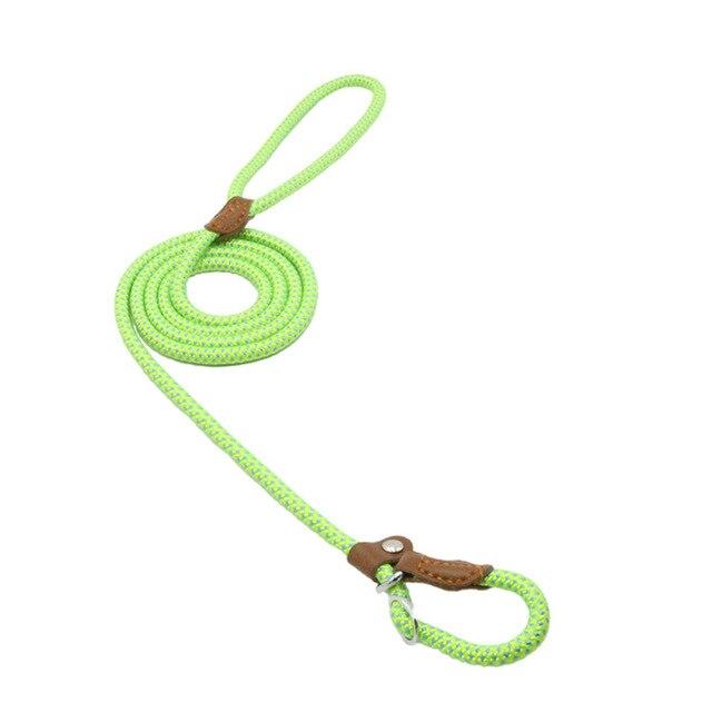 Nylon Pup Set Creole-boutique