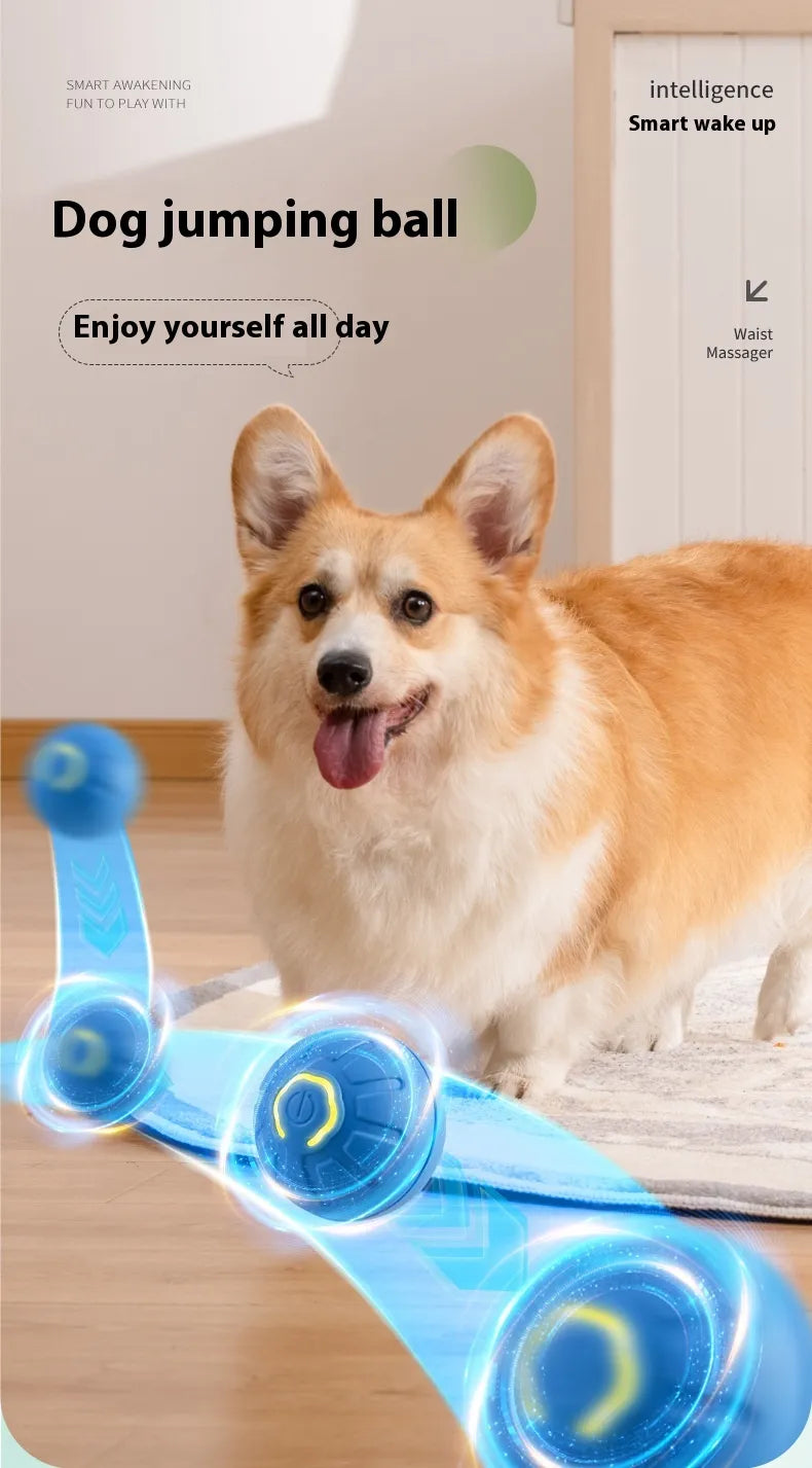 Smart Interactive Dog Toy Ball Creole-boutique