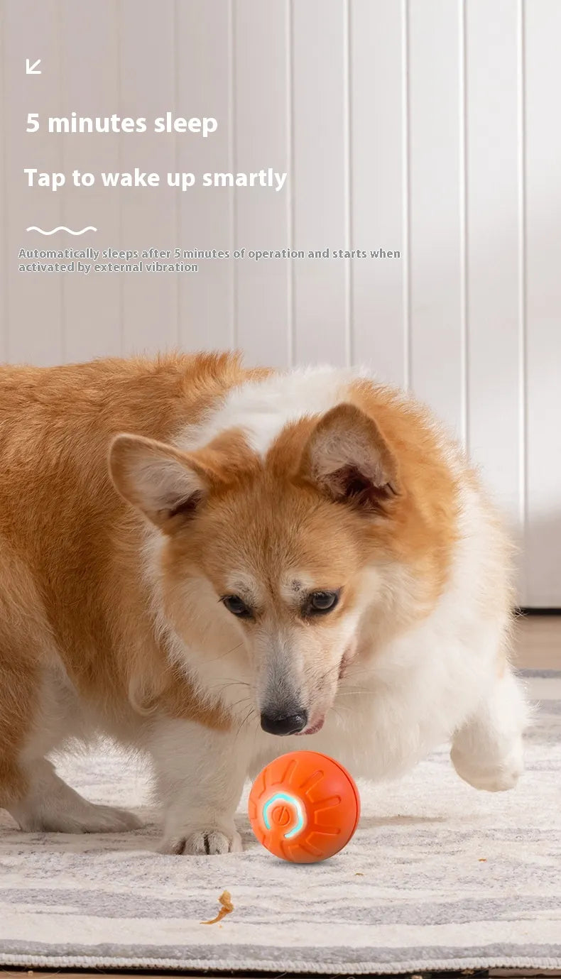 Smart Interactive Dog Toy Ball Creole-boutique