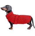 Dachshund Coat Waterproof Perfect for Dachshund Sausage Puppy Winter Jacket with Padded Fleece Lining Dog Clothing with Bands and Underbelly Protection - Red - XS
